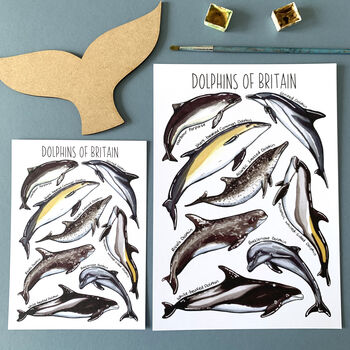 Dolphins Of Britain Watercolour Postcard, 2 of 12