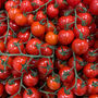 Tomato 'Sweet Million' Nine X Plug Pack, thumbnail 4 of 5