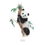 Personalised Panda Bear Art Print, thumbnail 2 of 5