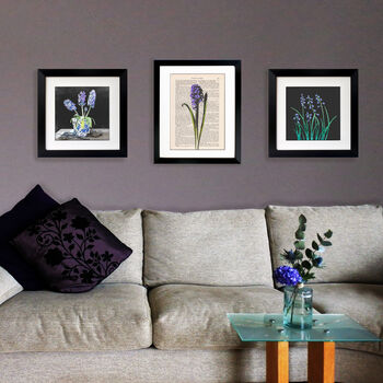 Three Hyacinths, Fine Art Print, 6 of 7