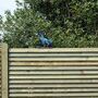 Rusty Metal Robin Garden Bird Fence Topper, thumbnail 4 of 10