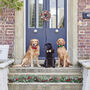 Artisan Dog Treats – Handmade In Norfolk, thumbnail 12 of 12