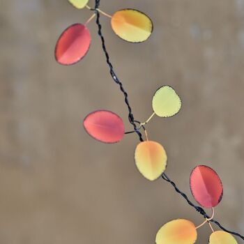 Eucalyptus Autumn Fairy Lights, 2 of 3