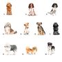 'Dogs Make Our Lives Whole' Dog Tin 80 Breeds Available, thumbnail 7 of 10