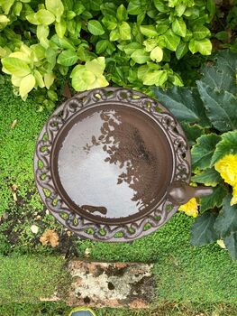 Freestanding Cast Iron Bird Bath – Metal Garden Feature, 6 of 10