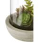 Succulents In A Glass Dome, thumbnail 4 of 4