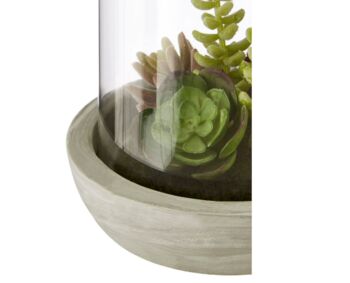 Succulents In A Glass Dome, 4 of 4
