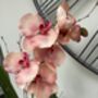 Peach Artificial Silk Orchid Flower Arrangement, thumbnail 2 of 6