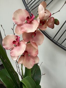 Peach Artificial Silk Orchid Flower Arrangement, 2 of 6