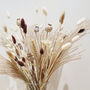 Luxury Cocoa Everlasting Dried Flower Bouquet, thumbnail 3 of 4