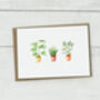 Personalised House Plant Greetings Card, thumbnail 3 of 5