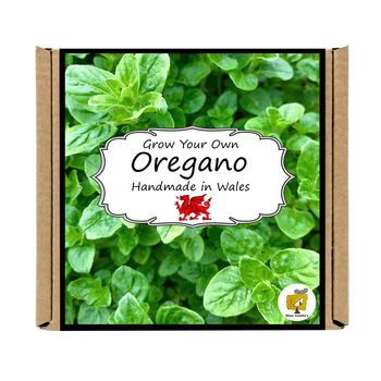 Herb Garden Oregano Growing Kit. Gardening Gift, 4 of 4