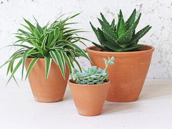 Terracotta Plant Pots Set Of Three Tapered, 5 of 6