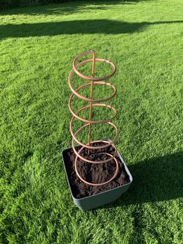 Spiral Copper Plant Pot Trellis, 7 of 8