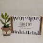 Plant Your Own Succulent Kit, thumbnail 8 of 12
