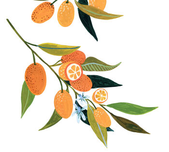 Kumquat Art Print, 5 of 5
