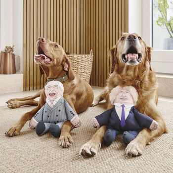 Elon Musk Parody Dog Toy, 11 of 11