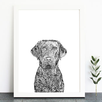 Labrador Dog Print By Ros Shiers | notonthehighstreet.com