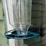 Twin Set Of Window Bird Feeders With Clear View, thumbnail 5 of 8