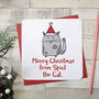 Merry Christmas From The Cat Xmas Card, thumbnail 2 of 2
