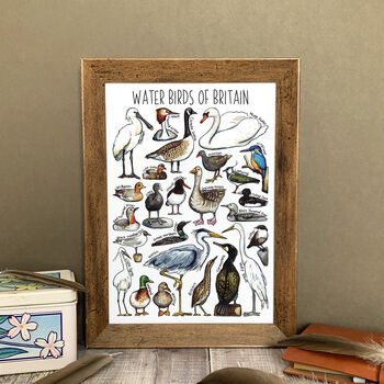 Water Birds Of Britain Greeting Card, 5 of 12