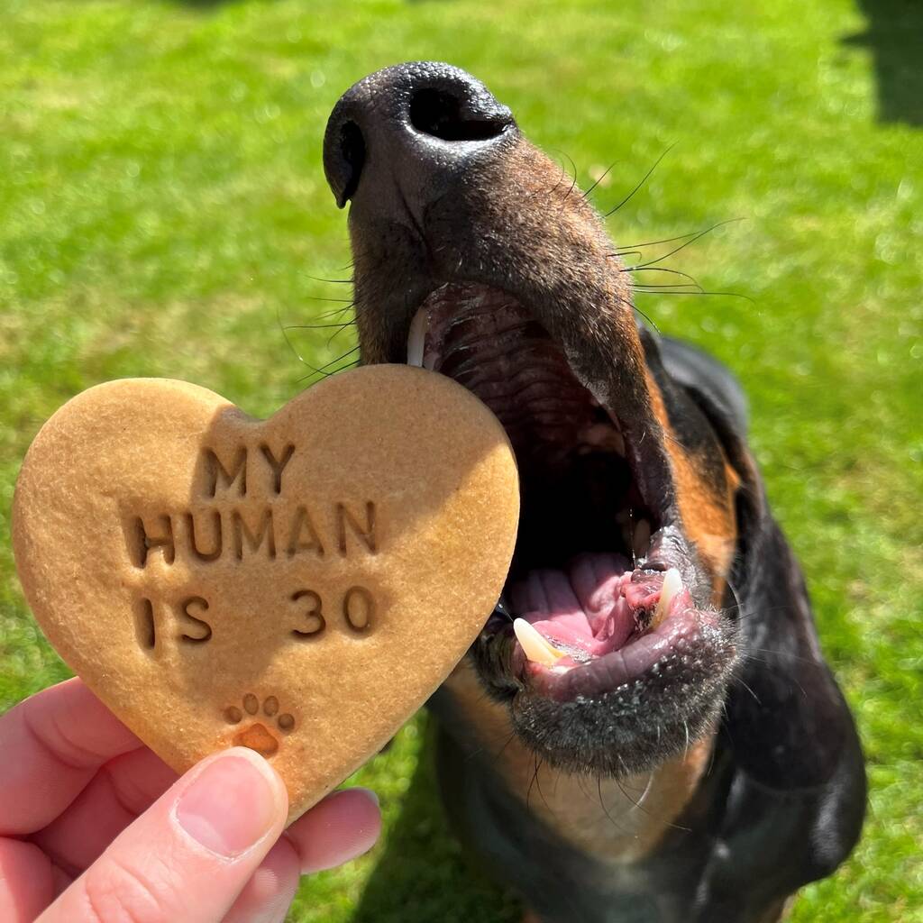 'My Human Is …' Birthday Dog Biscuits Gift Set, 1 of 4