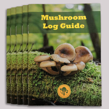 Ready To Grow Gourmet Mushroom Log Large, 2 of 12