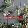 Five Robins On A Branch Christmas Decoration, thumbnail 1 of 1