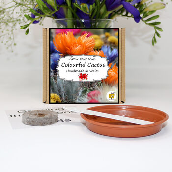 Grow Your Own Cactus Plant. Seeds Growing Kit, 2 of 5