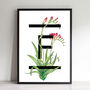 Personalised A To Z Flowers Alphabet Art Print, thumbnail 6 of 12