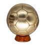Personalised Luxury Custom Gold Foil Cowhide Leather Football Custom Engraved, thumbnail 2 of 2