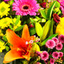 Vibrant Hand Tied Fresh Flower Bouquet, thumbnail 3 of 8