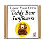 Gardening Gift. Grow Your Own Teddy Bear Sunflower Kit, thumbnail 5 of 5