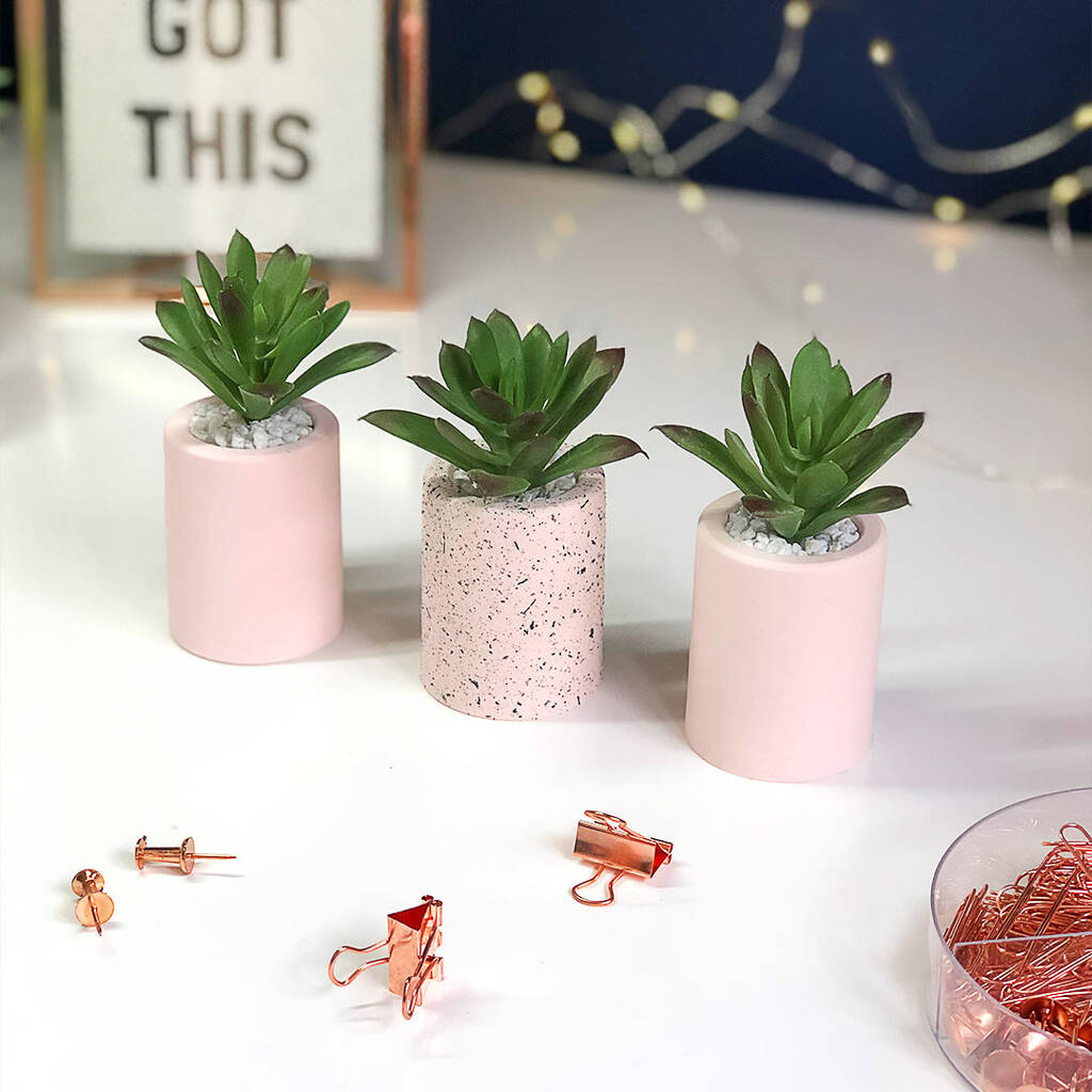 Mini Blush Pink Artificial Desk Plant Set By AIM Studio Co