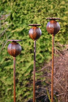 Rusty Poppy Seedhead Garden Ornament, 3 of 3