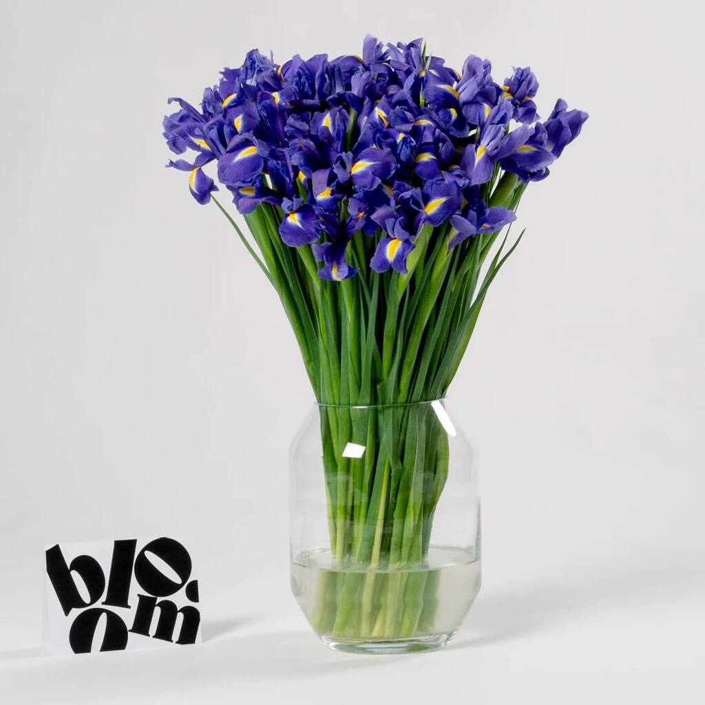 Amethyst Purple Iris Fresh Flower Bouquet, 1 of 3
