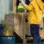 Outdoor Wooden Side Vegetable Planter Add On, thumbnail 1 of 4