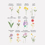 Personalised Family Birth Flowers Mother's Day Print, thumbnail 9 of 9