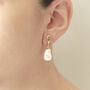 Gold Tops And Shell Pearl Earrings, thumbnail 3 of 4