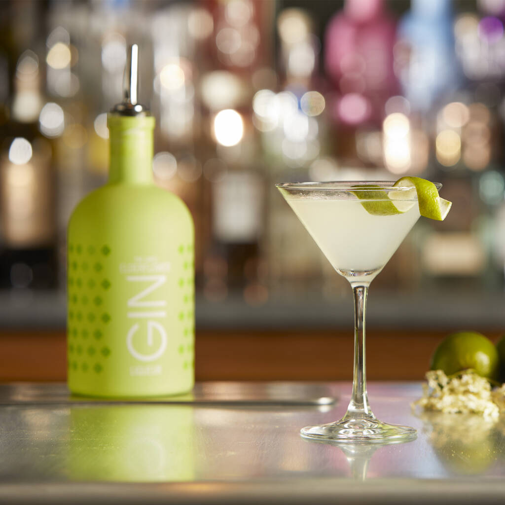 lakes elderflower gin liqueur and ice cube tray by the lakes distillery