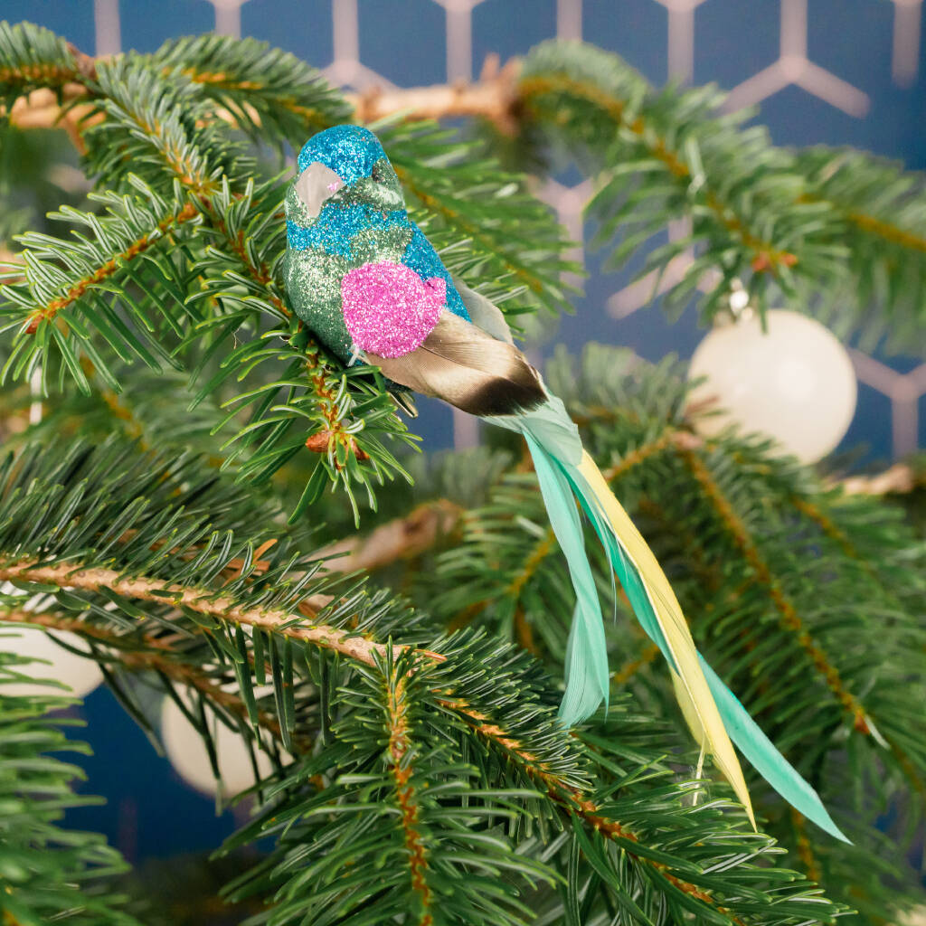 Set Of Three Multi Coloured Clip On Bird Decorations By Posh Totty