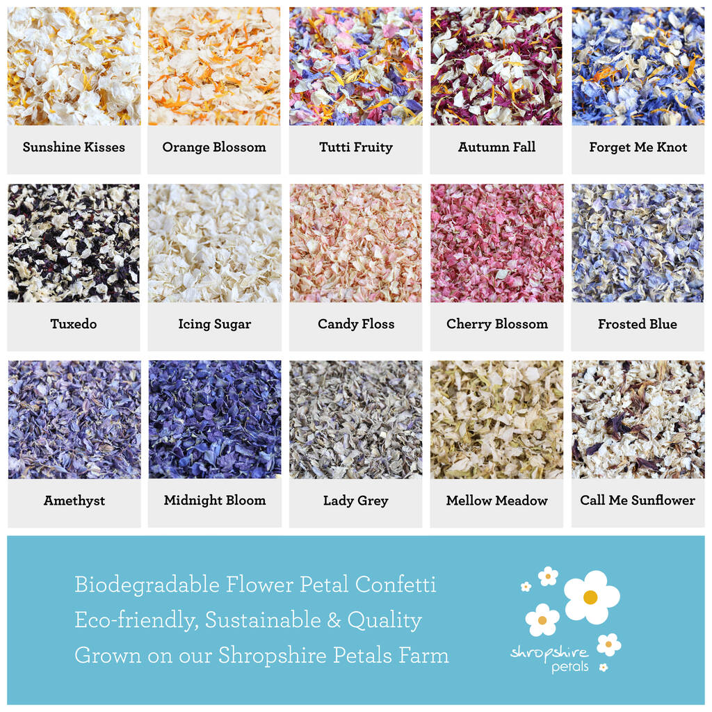 25 Biodegradable Wedding Petal Confetti Cones By Shropshire Petals ...