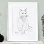 Personalised Cat Line Drawing, thumbnail 3 of 11