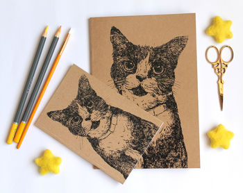 A5 Cat Lovers Notebook Blank Journal With Plain Pages, 5 of 6