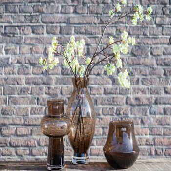 Orchid Pot Marco Topaz Colour By Dut Z, 6 of 8