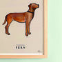 Fox Red Labrador Personalised Fine Art Print, thumbnail 3 of 4