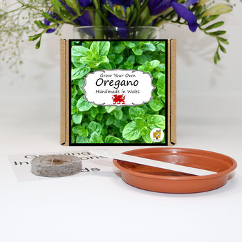 Herb Garden Oregano Growing Kit. Gardening Gift, 2 of 4