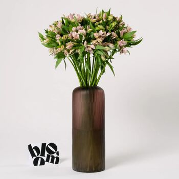 Powder Pink Alstroemeria Fresh Flower Bouquet, 3 of 3