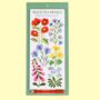 The Glorious Gardener Letterbox Gift Set, thumbnail 4 of 12