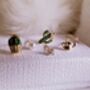 Cactus And Watering Can Mismatched Stud Earrings Set 14 K Gold Plated With Pearl, Gift For Her Plant Lover Jewellery, thumbnail 3 of 9